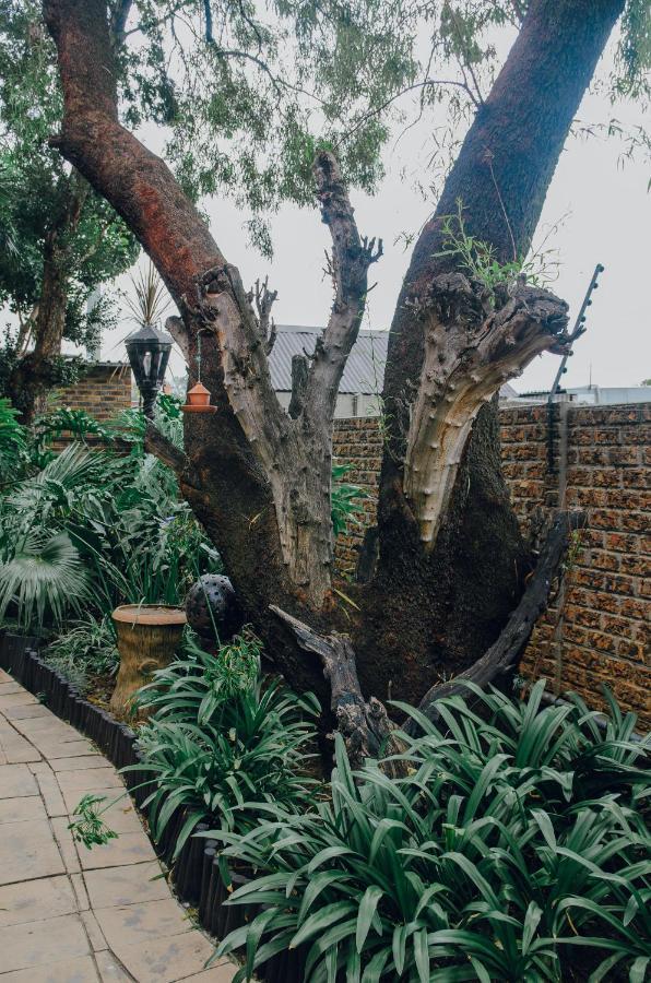 Towers Lodge Boksburg Zewnętrze zdjęcie